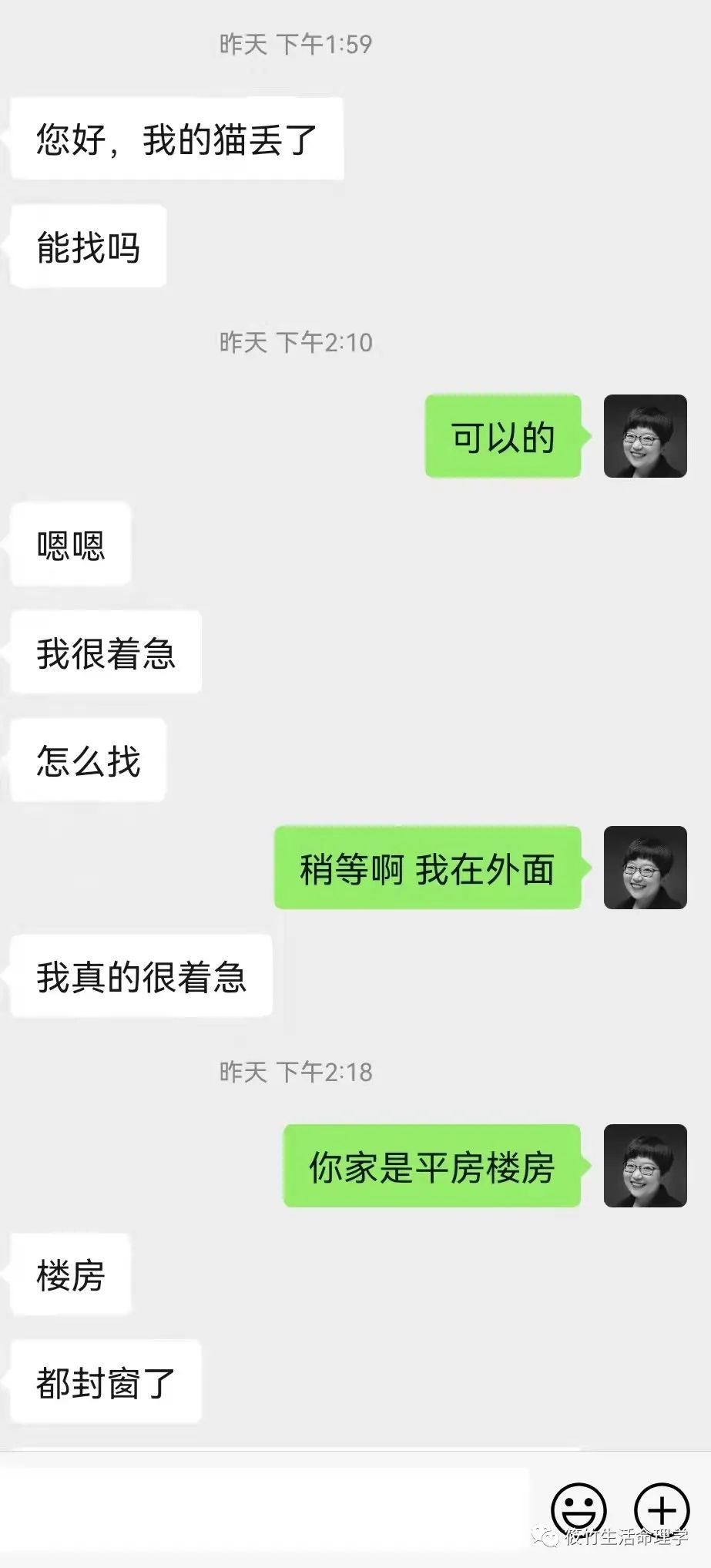 时间起卦：小猫咪去哪里了？【筱竹命理】